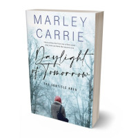 Tablet view of Botticelli #20447 - Premade Teen & Young Adult Book Cover