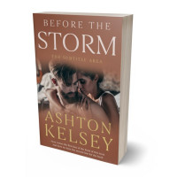 3D view of Premade Erotica Book Cover - Spicy Mix