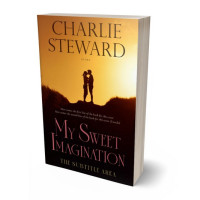 3D view of Premade Romance Book Cover - Anzac