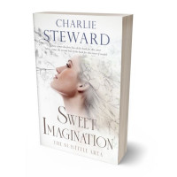 Tablet view of Pampas #20894 - Premade Abstract Book Cover