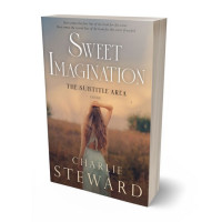 3D view of Premade Romance Book Cover - Sandrift