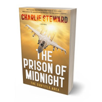 Tablet view of Driftwood #20916 - Premade Action & Adventure Book Cover