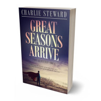 Tablet view of Martinique #20938 - Premade Business Book Cover