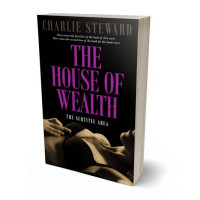 3D view of Premade Erotica Book Cover - Tapestry