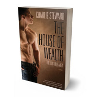 Tablet view of Spice #20947 - Premade Erotica Book Cover