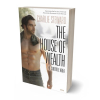 3D view of Premade Erotica Book Cover - Cement