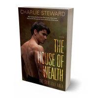 3D view of Premade Erotica Book Cover - Mikado