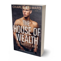 Tablet view of Cameo #20950 - Premade Erotica Book Cover