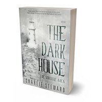 3D view of Premade Fantasy Book Cover - Celeste