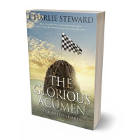 3D view of Stack #21013 - Premade Business Book Cover