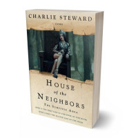 3D view of Premade Fantasy Book Cover - Akaroa