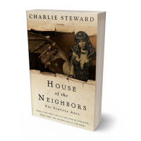 Tablet view of Grain Brown #21067 - Premade Fantasy Book Cover