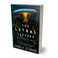 Tablet view of Black #21128 - Premade Fantasy Book Cover