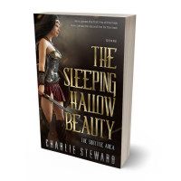 3D view of Oil #21150 - Premade Fantasy Book Cover