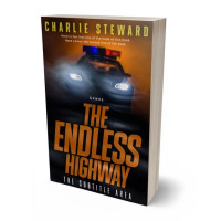 3D view of Premade Mystery & Thriller & Suspense Book Cover - Desert