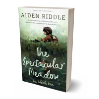 Tablet view of Willow Brook #21211 - Premade Abstract Book Cover