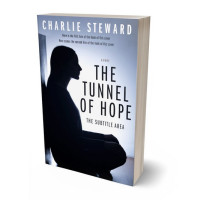 Tablet view of Vulcan #21246 - Premade Teen & Young Adult Book Cover