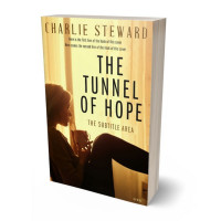 3D view of Premade Literary Fiction Book Cover - Sandwisp