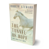 Tablet view of Tana #21252 - Premade Fantasy Book Cover