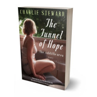 3D view of Premade Romance Book Cover - English Walnut