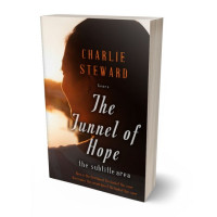 3D view of Premade Literary Fiction Book Cover - Hampton