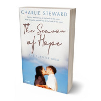 3D view of Premade Romance Book Cover - Blue Bayoux