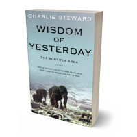 Tablet view of Tower Gray #21308 - Premade Apocalyptica Book Cover