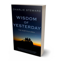 3D view of Premade Teen & Young Adult Book Cover - Ebony