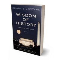 3D view of Premade Mystery & Thriller & Suspense Book Cover - Mirage