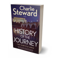 3D view of Premade Mystery & Thriller & Suspense Book Cover - Thunder