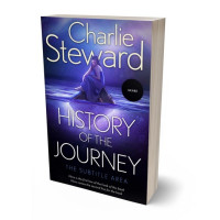 3D view of Premade Literary Fiction Book Cover - Ebony