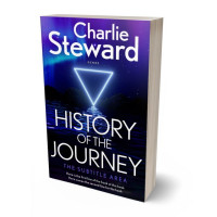 3D view of Premade Science Fiction Book Cover - Black Pearl