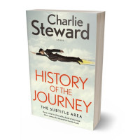 Tablet view of Periglacial Blue #21349 - Premade Business Book Cover