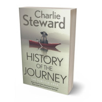 3D view of Premade Abstract Book Cover - Eagle