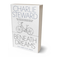 3D view of Premade Literary Fiction Book Cover - Gallery