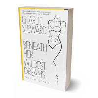 3D view of Premade Erotica Book Cover - Gallery