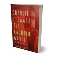 3D view of Premade Apocalyptica Book Cover - Old Brick