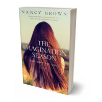 3D view of Premade Literary Fiction Book Cover - Haiti