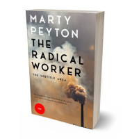 3D view of Premade Environment & Ecology Book Cover - Arrowtown