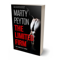 3D view of Premade Mystery & Thriller & Suspense Book Cover - Cod Gray