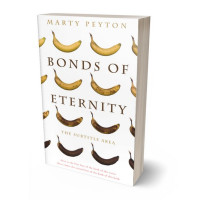 3D view of Quincy #21726 - Premade Literary Fiction Book Cover