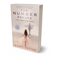 3D view of Premade Fantasy Book Cover - Wafer