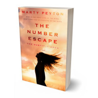 Tablet view of Manhattan #21778 - Premade Teen & Young Adult Book Cover