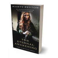 3D view of Cod Gray #21801 - Premade Fantasy Book Cover