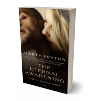 3D view of Premade Erotica Book Cover - Eternity