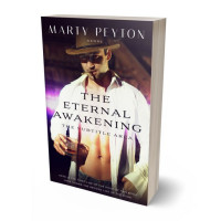 3D view of Premade Erotica Book Cover - Jon