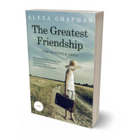 3D view of Premade Teen & Young Adult Book Cover - Envy