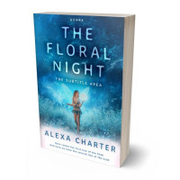 3D view of Premade Fantasy Book Cover - Matisse