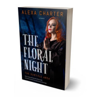 3D view of Premade Fantasy Book Cover - Silk