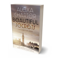 3D view of Premade Literary Fiction Book Cover - Donkey Brown